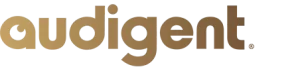 Audigent logo